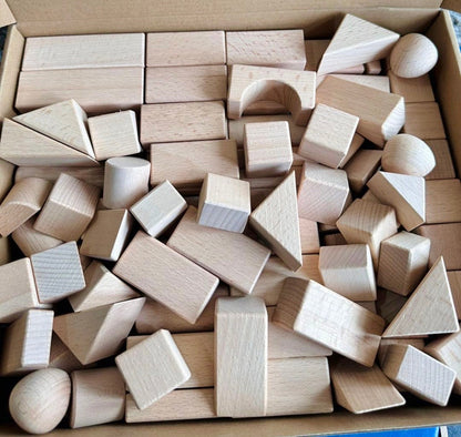 100 Pcs Montessori Wooden Building Blocks